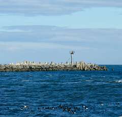 82: JerryPepin_2026-6