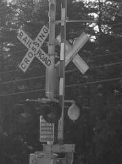 52: JerryPepin_2026-9