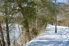 44: MargoPepin_2026-9