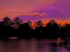 129: AlanToplitz_2026-105