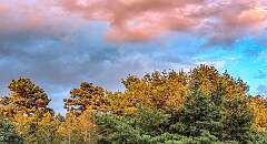 2: BillKirms_2026-370