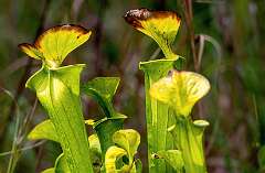 282: BillKirms_2026-374