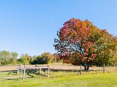 193: BillKirms_2026-401