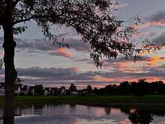 268: KathleenMiddleton_2026-17