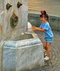 57: WendyTao_2026-208