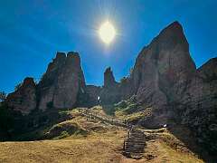 31: WendyTao_2026-246